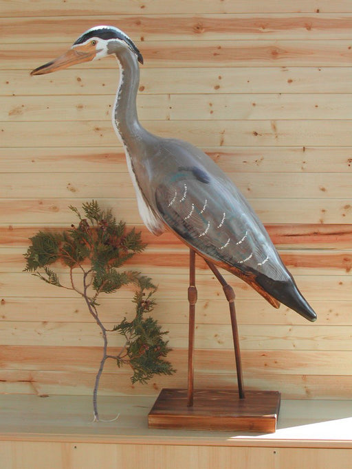 Large Standing Heron - Painted