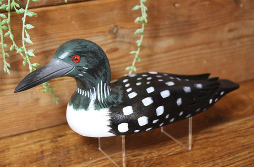Large Loon - Painted