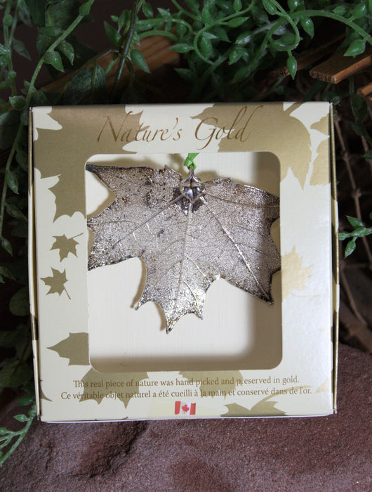 Silver Natures Gold Maple Leaves