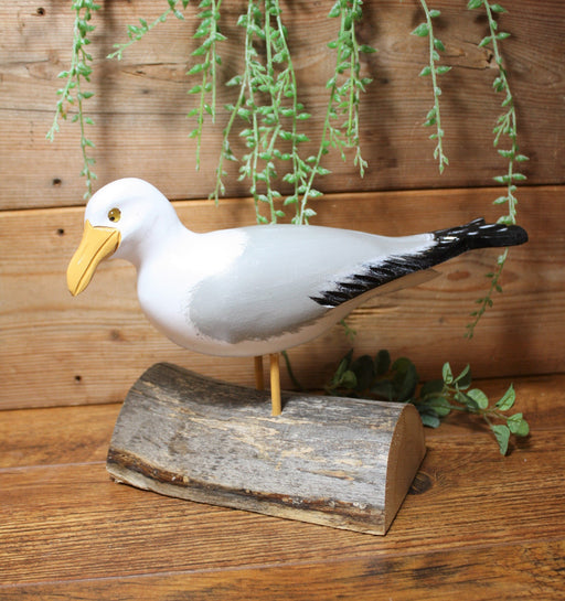 Seagull on Stump